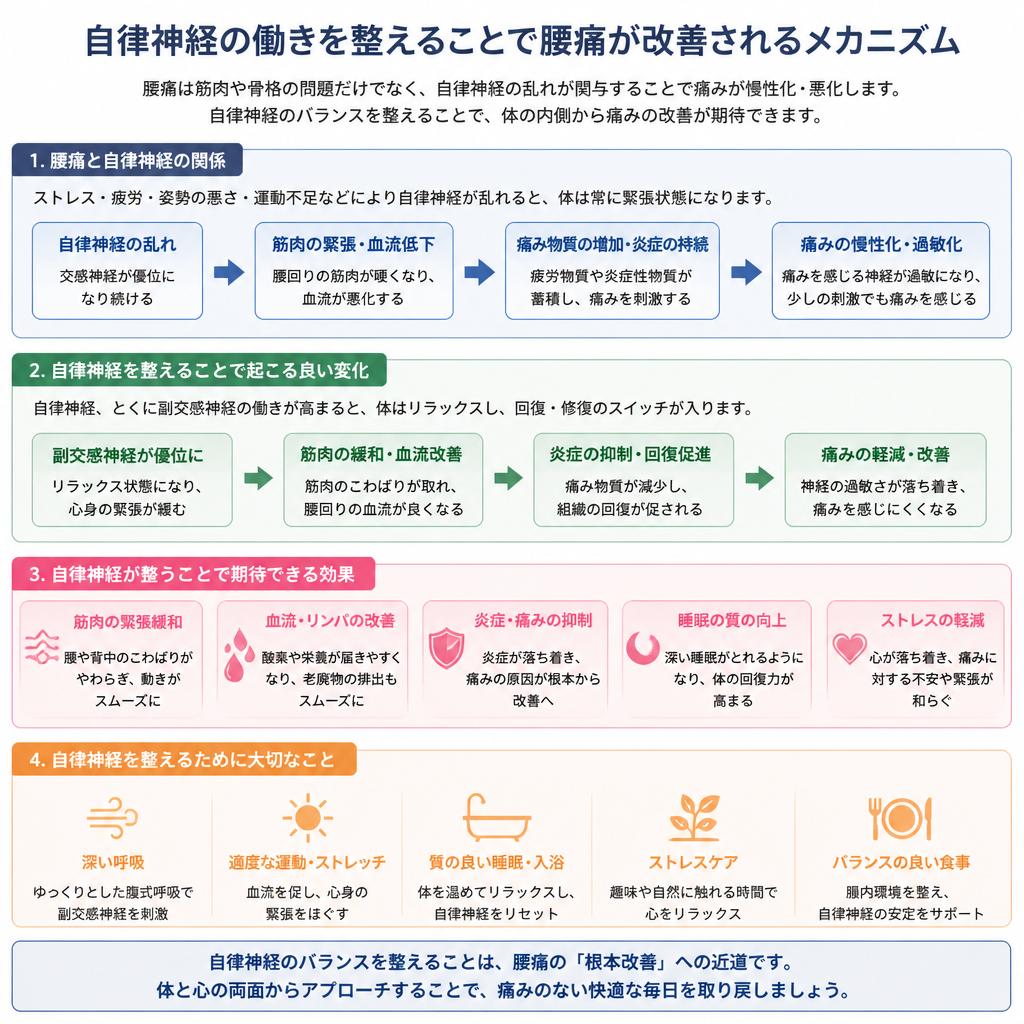 2. 自律神経と腰痛の関係